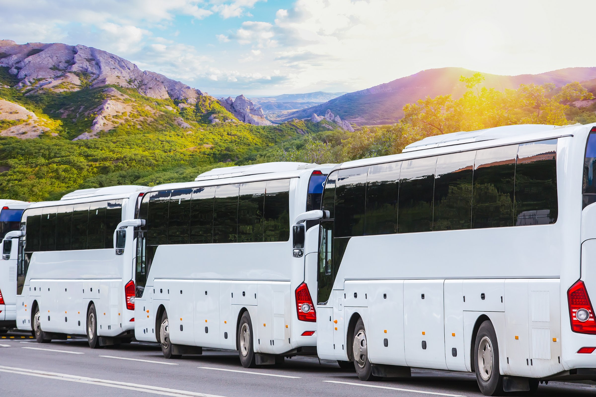 Rząd białych autokarów w zajezdni, Planning Bus